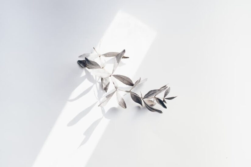 The Ethical Implications of Bioart: When Biology Meets Canvas
